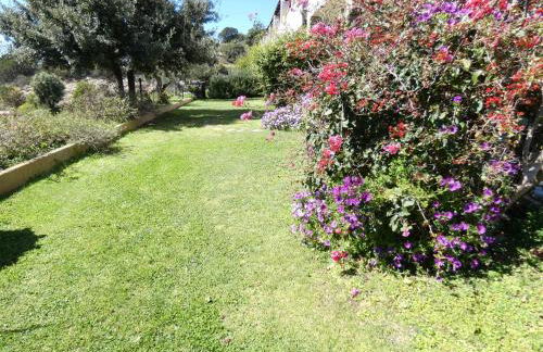 Comino Alto Agriturismo e Appartamenti - Foto 119