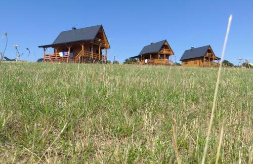 Domki całoroczne DŁUGOSZÓWKA pod Rzeszowem, Jacuzzi-Sauna-Basen-Alpaki - Foto 41