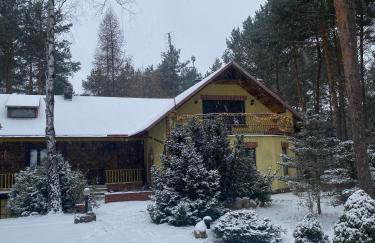 Leśny Czar - Foto 7