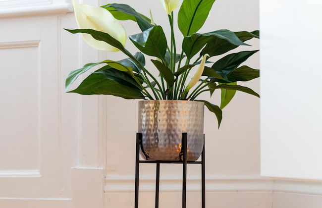 Rothiemay House - Donnini Deluxe - Foto 18