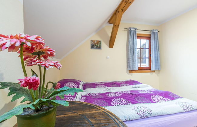 Forge Of Happiness - Foto 5