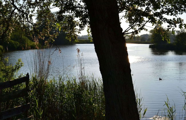 Holiday Home in Oosteeklo Near the Meetjeslands Area - Foto 47