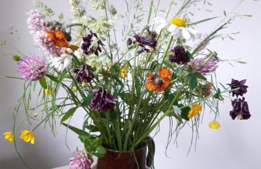 Villa Sonja - Foto 15