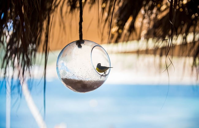 Karibuni Boutique Hotel - Adults Only - Foto 64