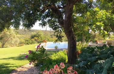 Rustic Villa Tavira with Mountain Views and Pool - Foto 20