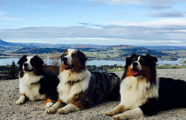 Aesthetic Apartment in Halblech Germany near Ski Area - Foto 9