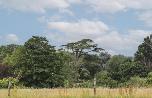 Spindlewood Cottage - Foto 46