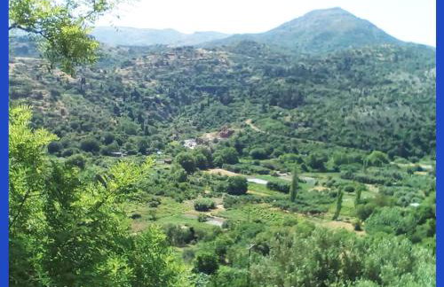 Kampos View Ikaria - Photo 37