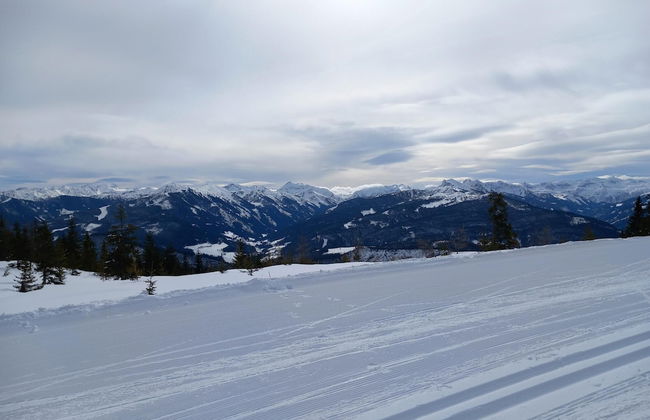 Apartment in Filzmoos Near Ski Amade - Photo 23