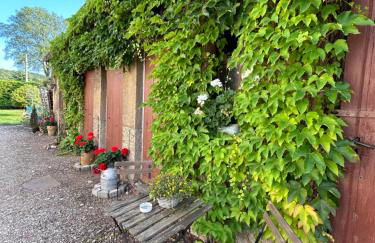 Apartment im Grünen - Foto 27