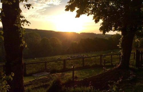 Brynarth Country Cottages - Foto 30