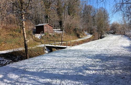 GÎTE "LES GRANGES D'ANTAN" - La FORGE - - Photo 45
