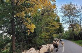 Casa da Memória - Foto 33