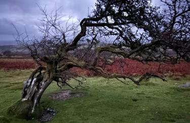 Moorleigh House Entire Property Sleeps 10 - Foto 74