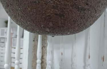 Apartamento Cabo Rubio - Foto 7