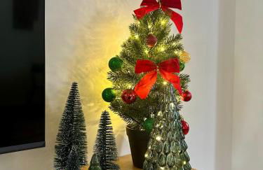 Le GreenStation-Gare-Hortillonnages-Centre Ville - Photo 12