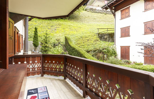 Bouquetins - Photo 29