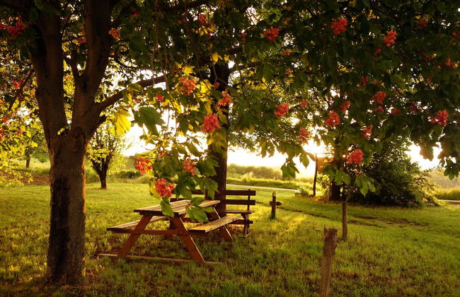 Cascina Alberta - Foto 18