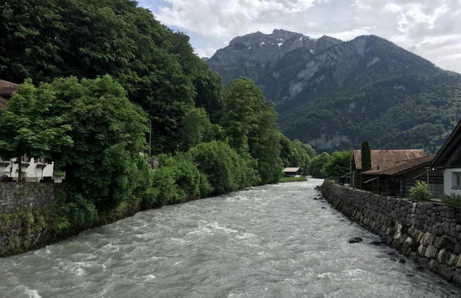 Pristine Home in a Charming Village, Large Grassy Sunbathing Area, View of the Mönch and Jungfrau - Foto 34