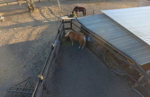 A Cozy Loft in Templeton - Foto 29