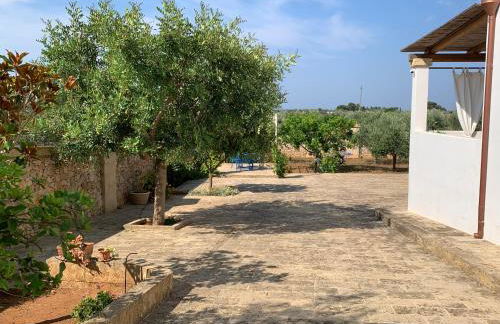 Casa Giardino - Foto 6