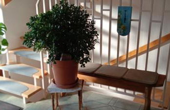 Ferienhaus Töpferblick-Hartau - Foto 11