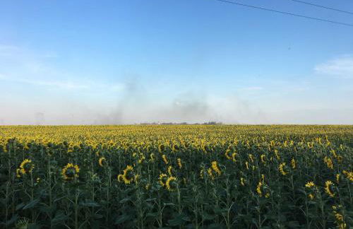 Chalet Sch l afbock - Foto 45