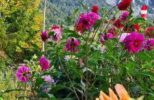 Ferienwohnung Diechtler inkl. Chiemgaukarte - Foto 3