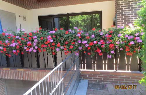 Ferienwohnung Hildenbrand - Foto 1