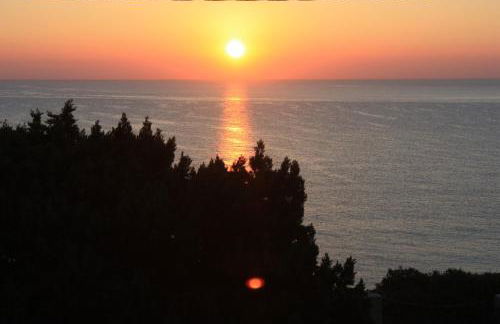 Arenal d´Or - Photo 38