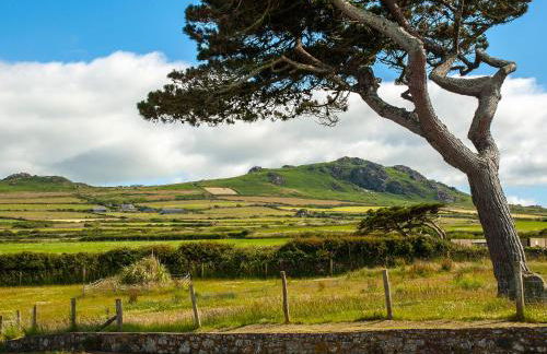 Lighthouse Watch - Photo 27
