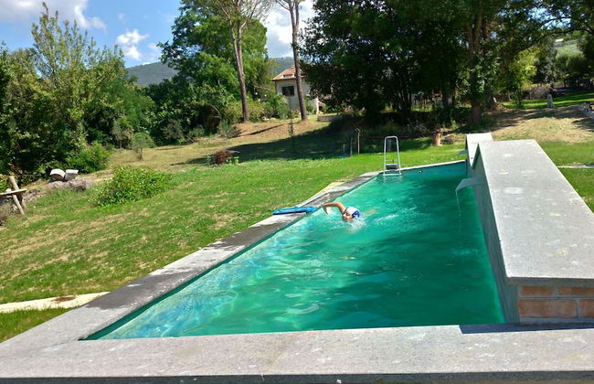 Baduerughe - Foto 16