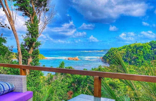 Blue Whale Villa - Photo 54