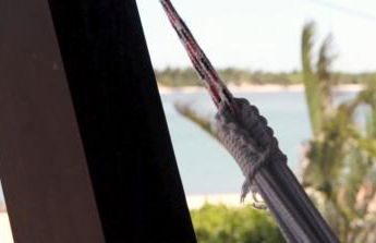 Casa Pérola da Barra - Foto 52