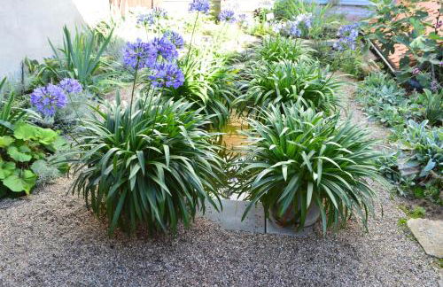 Ferienwohnung Winzerloft - Foto 23