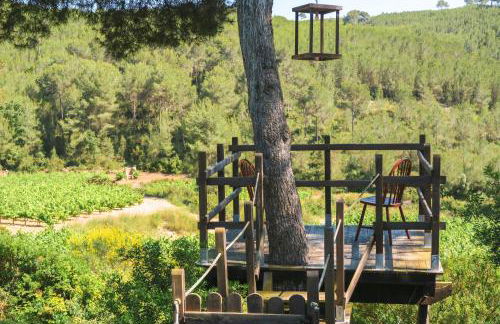 Masia Pou de la Vinya - Photo 7