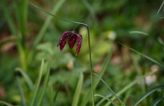 The Home Barn at Cornish Barn Holidays - Foto 37