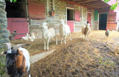 Bright and Spacious Vacation Rental near Catoctin Mountain Park, Maryland - Foto 27