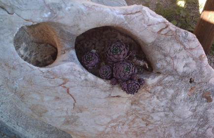 Apartments Bogunovic - Foto 22