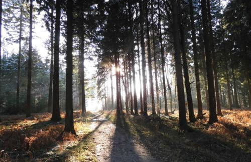 Ferienhaus an der Grenze zu Hamburg Zentrale Lage - Foto 59