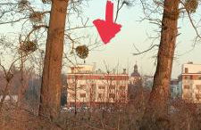 Oaza spokoju - Walendów - Foto 36