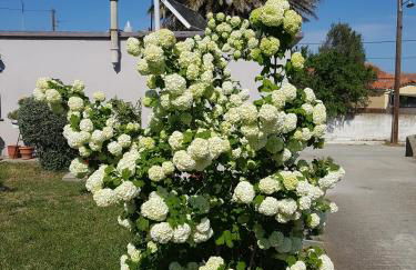 Repanidi Apartment D / Ρεπανίδι Διαμέρισμα Δ - Foto 47