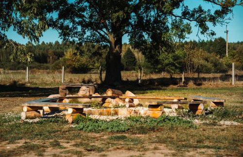 Arche Siedlisko Gorodczyno - Foto 40