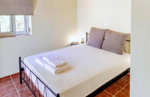 Solace Homie - Foto 7