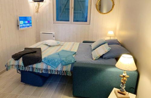 PETIT STUDIO de L'ERMITAGE - Foto 11