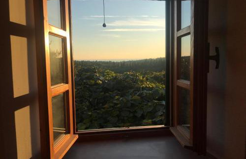 Country House Bakicevo - Photo 27