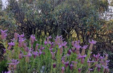 Casa Celia - Foto 40