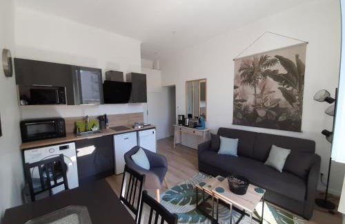 Duplex Bastié T3 calme et climatisé WiFi - Photo 1