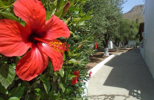 Leros Eleonas Apartments - Foto 57