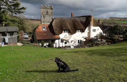 Chocolate Box Retreat in Dorset - Foto 1